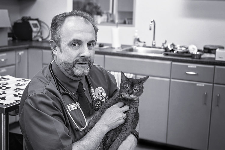 Dr Goodall with sunny the clinic cat at Sunnyview Nova Scotia