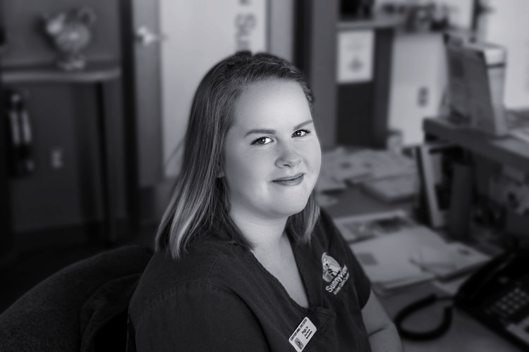 Veterinary Assistant/Receptionist at Sunnyview Nova Scotia