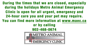 Metro Animal Emergency Instructions