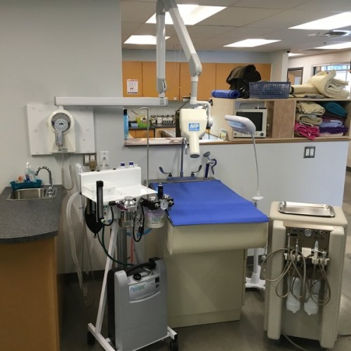 Showing our Anesthesia system, Dental Radiology unit, and our Dental Cleaning instruments - under the blue pad is a heating unit to keep your pet warm during their procedure - speeding recovery!